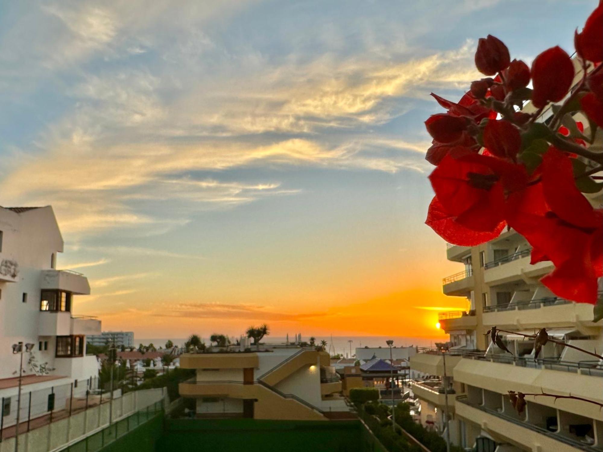 Apartment In Ocean Park, Costa Adeje, Tenerife Εξωτερικό φωτογραφία