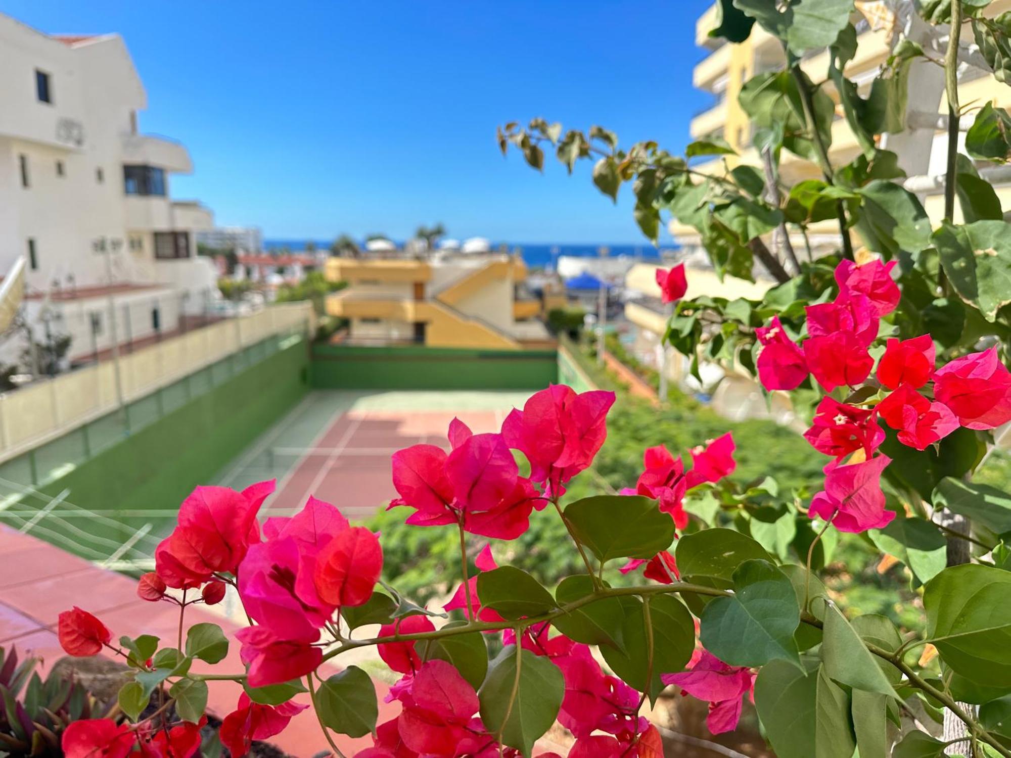 Apartment In Ocean Park, Costa Adeje, Tenerife Εξωτερικό φωτογραφία