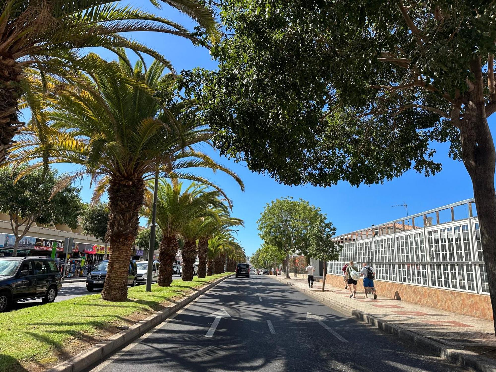 Apartment In Ocean Park, Costa Adeje, Tenerife Εξωτερικό φωτογραφία